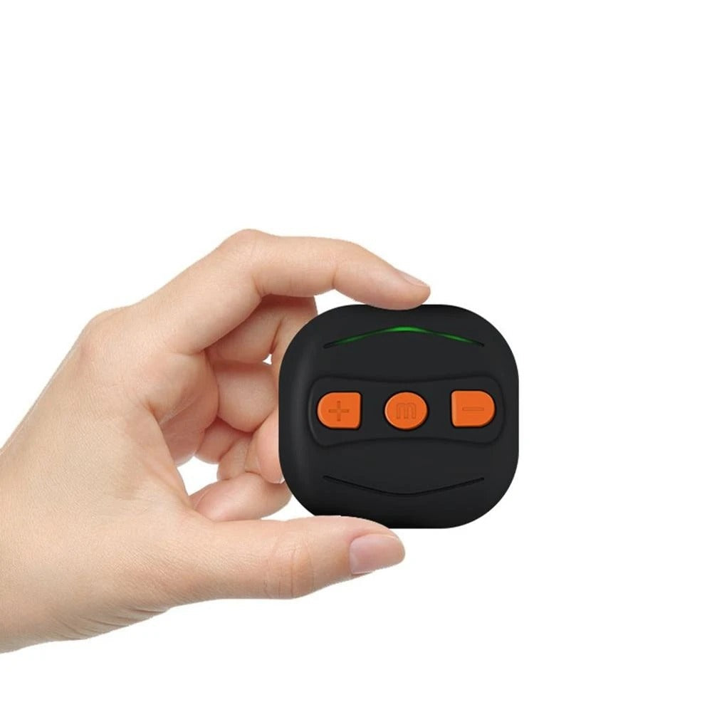 Portable Massager With Remote Control